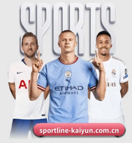 开云网页版入口 APP | kaiyun