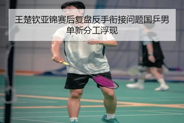 王楚钦亚锦赛后复盘反手衔接问题国乒男单新分工浮现 | kaiyun